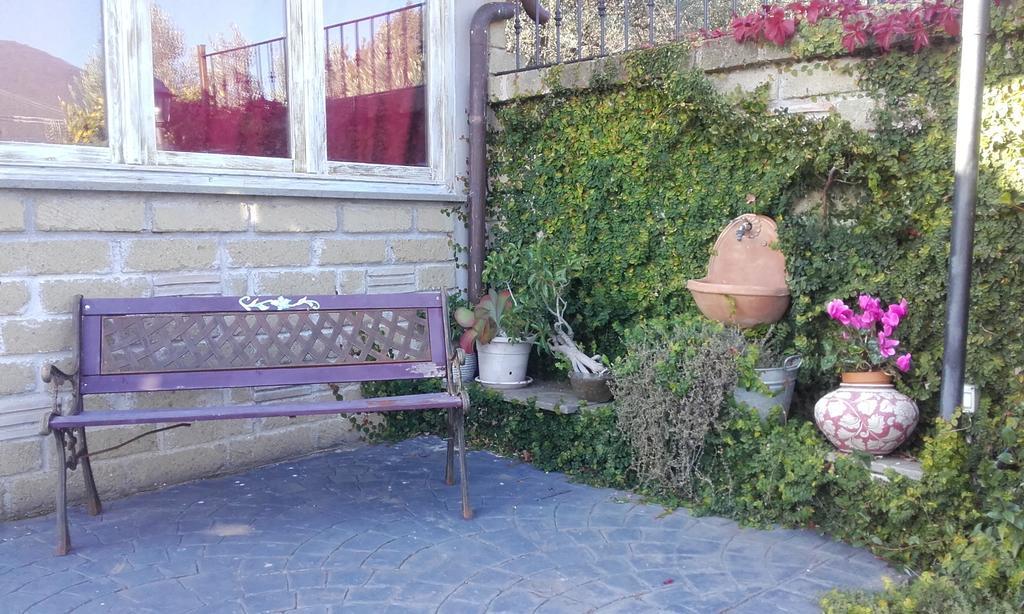 Apartamento Il Poggio Degli Ulivi Trevignano Romano Habitación foto