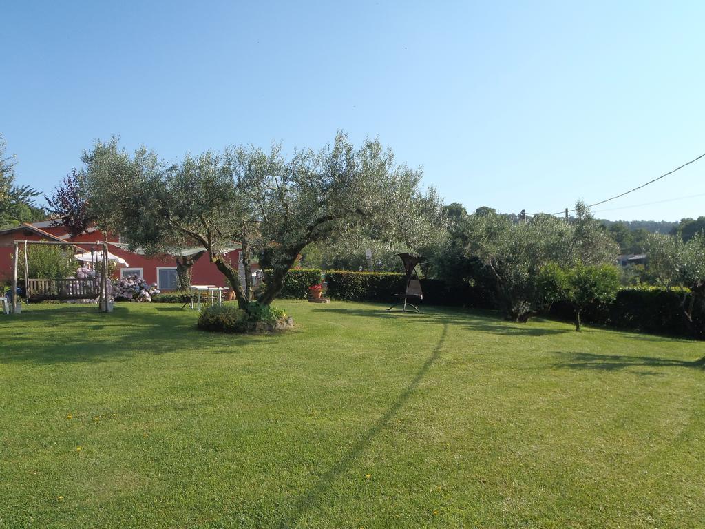 Apartamento Il Poggio Degli Ulivi Trevignano Romano Habitación foto