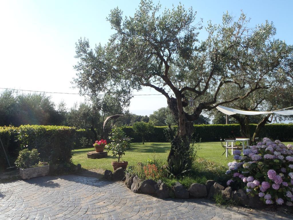 Apartamento Il Poggio Degli Ulivi Trevignano Romano Habitación foto