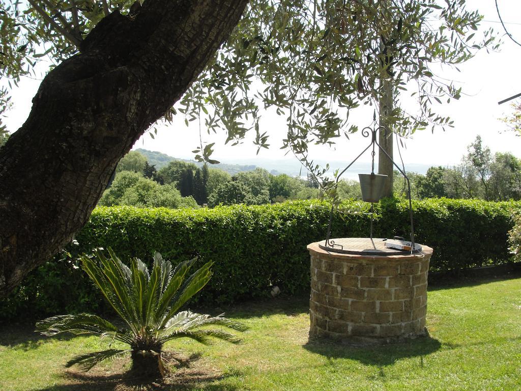 Apartamento Il Poggio Degli Ulivi Trevignano Romano Habitación foto