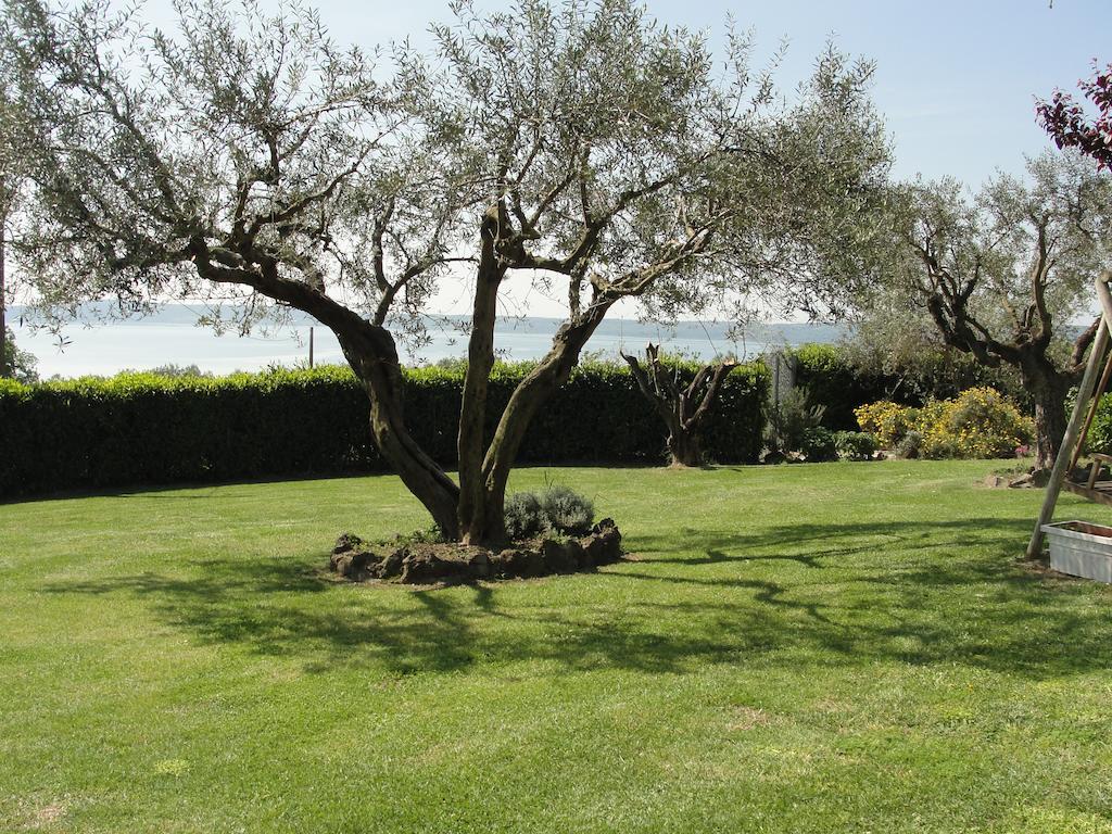 Apartamento Il Poggio Degli Ulivi Trevignano Romano Habitación foto