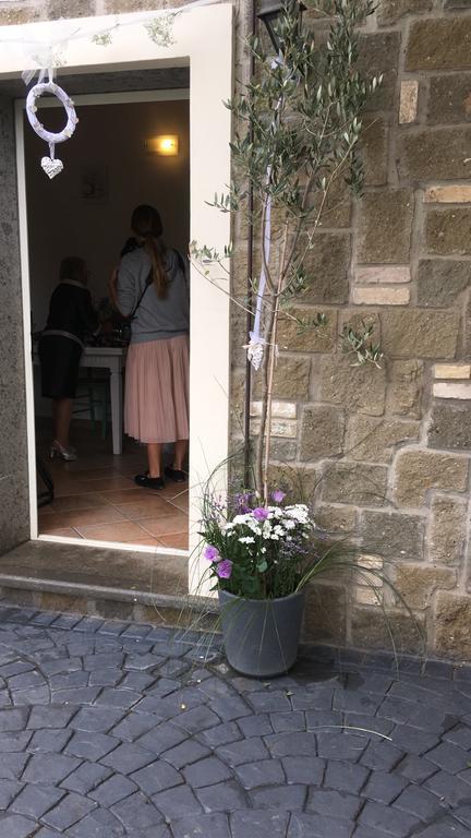 Apartamento Il Poggio Degli Ulivi Trevignano Romano Exterior foto