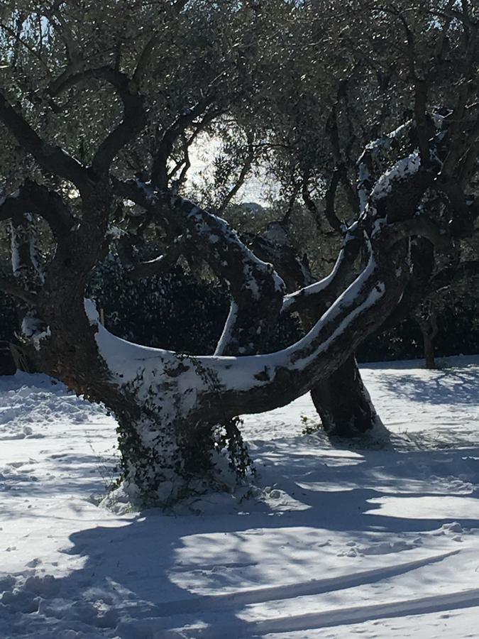 Apartamento Il Poggio Degli Ulivi Trevignano Romano Exterior foto