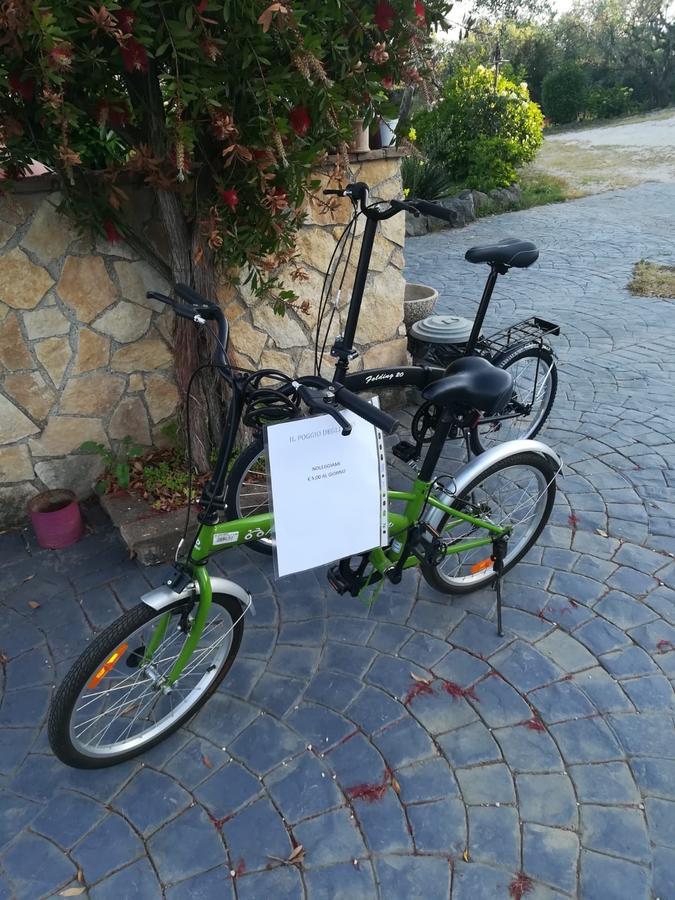 Apartamento Il Poggio Degli Ulivi Trevignano Romano Exterior foto