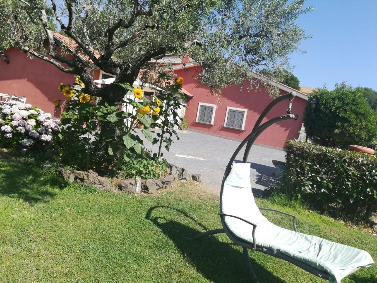 Apartamento Il Poggio Degli Ulivi Trevignano Romano Exterior foto