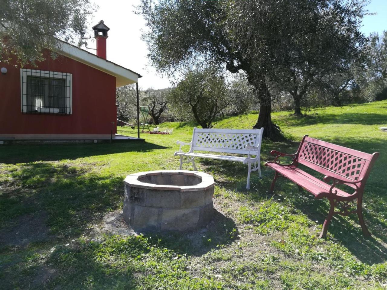 Apartamento Il Poggio Degli Ulivi Trevignano Romano Exterior foto