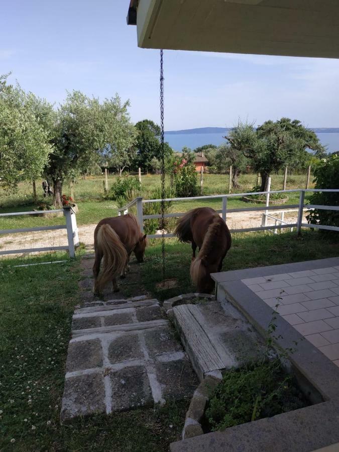 Apartamento Il Poggio Degli Ulivi Trevignano Romano Exterior foto
