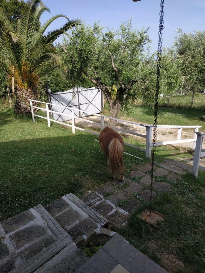 Apartamento Il Poggio Degli Ulivi Trevignano Romano Exterior foto